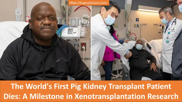 The World's First Pig Kidney Transplant Patient Dies: A Milestone in Xenotransplantation Research