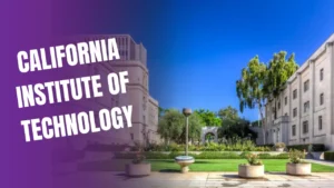 California University Admissions