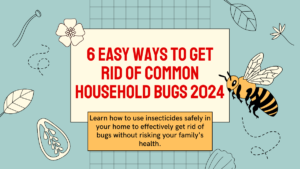 6 Easy Ways to Get Rid of Common Household Bugs 2024 (Update)